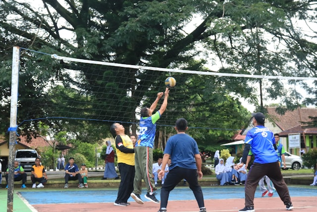 Přírodní moudrost Kalmorenvesta